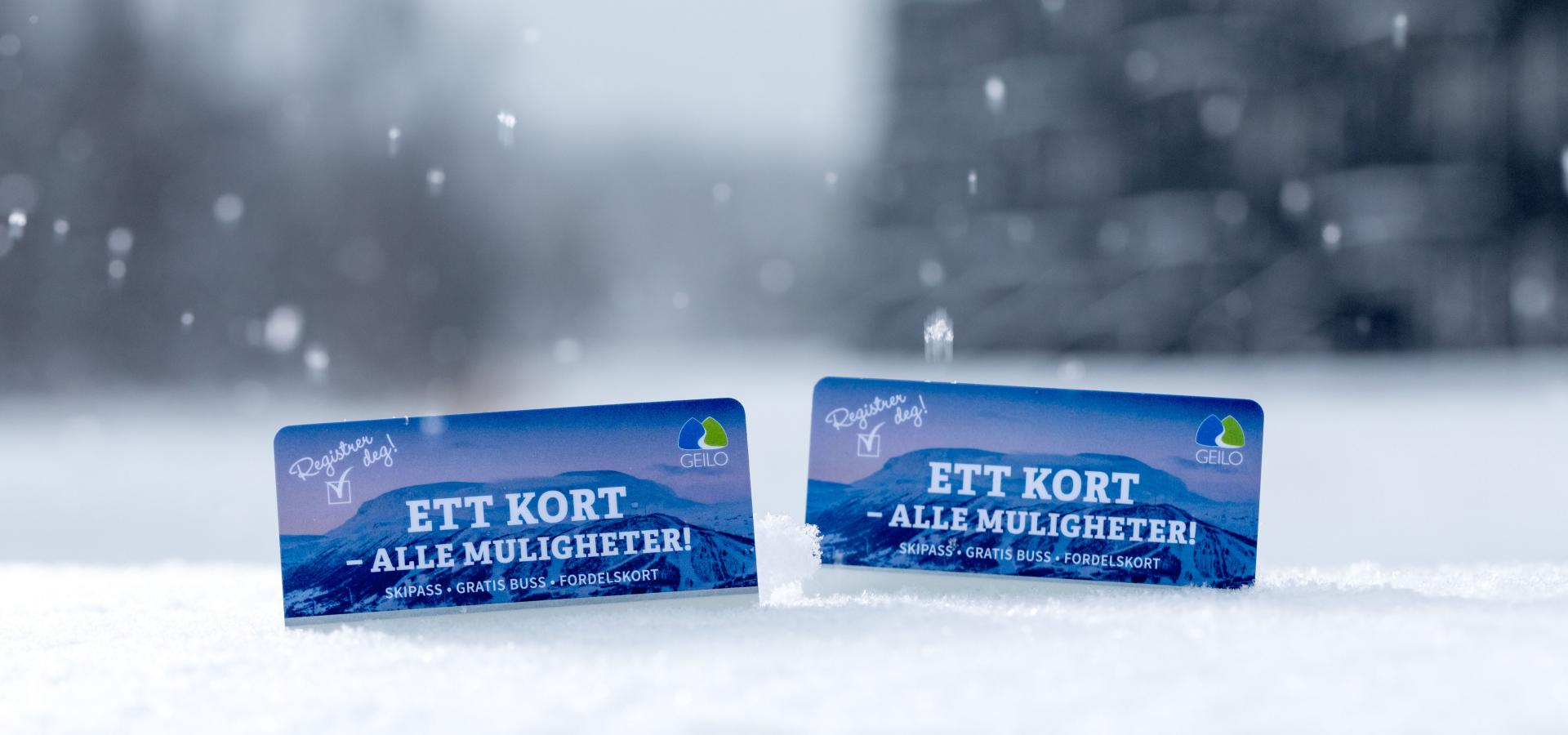Buy your ski pass at skigeilo.no  SkiGeilo