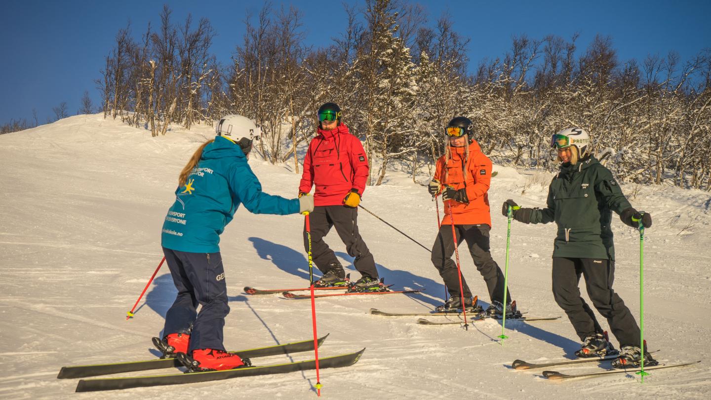 Alpine ski school Adult - Geilo Ski school
