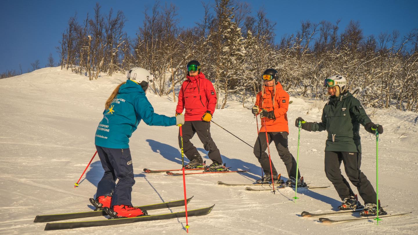 Ski School Adults -  Level 1