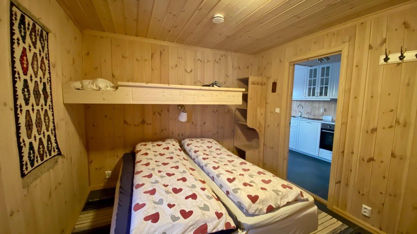 Cabin Skarvet