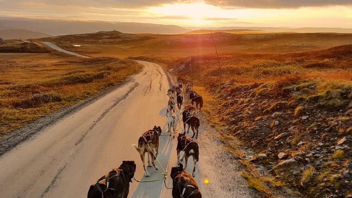  Autumn package with dogsledding