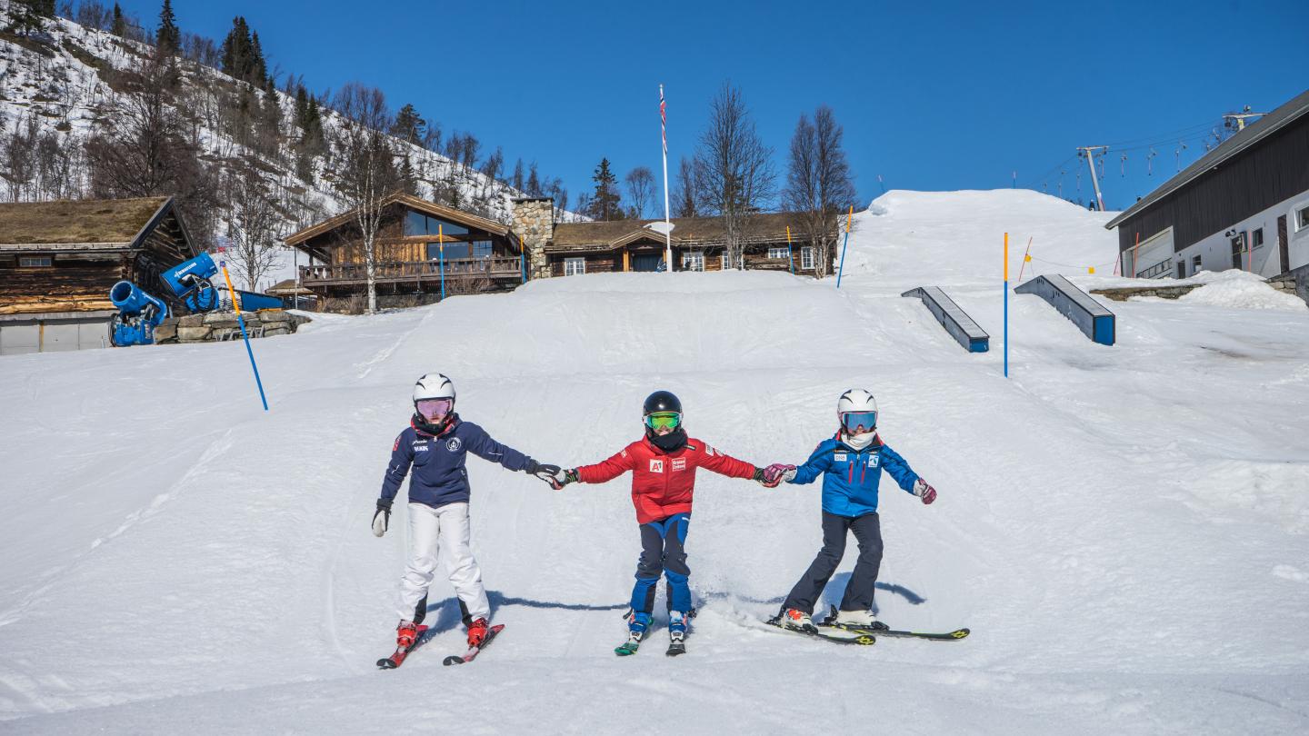 Christmas and New Years - Alpine group ski school, 3 days