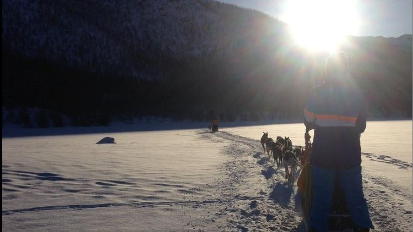 5 km hundekjøring på Ustedalsfjorden