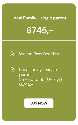 Local family price in Geilo