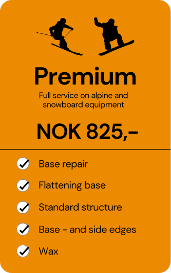 premium ski service price