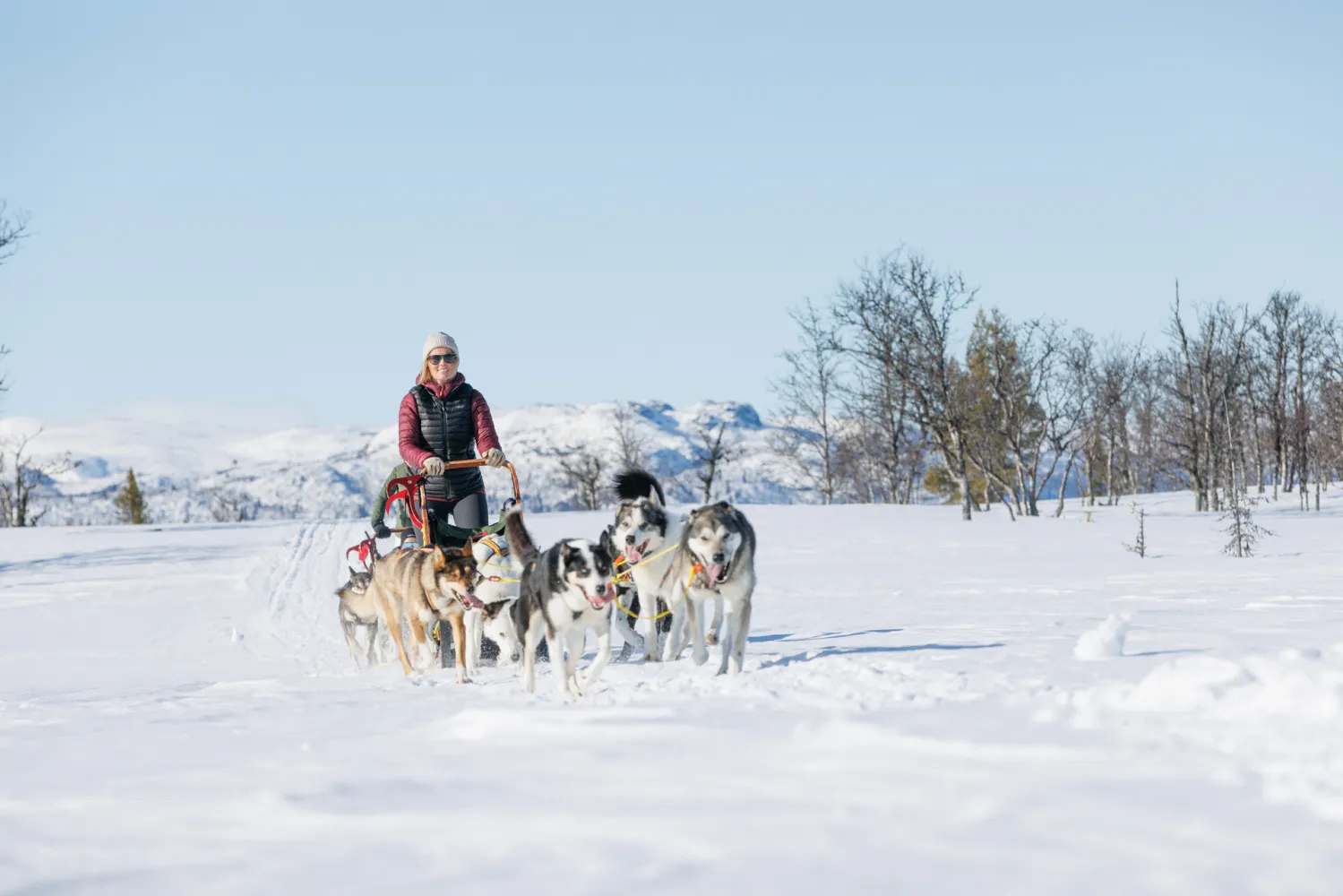 Hundekjøring på Langedrag Naturpark