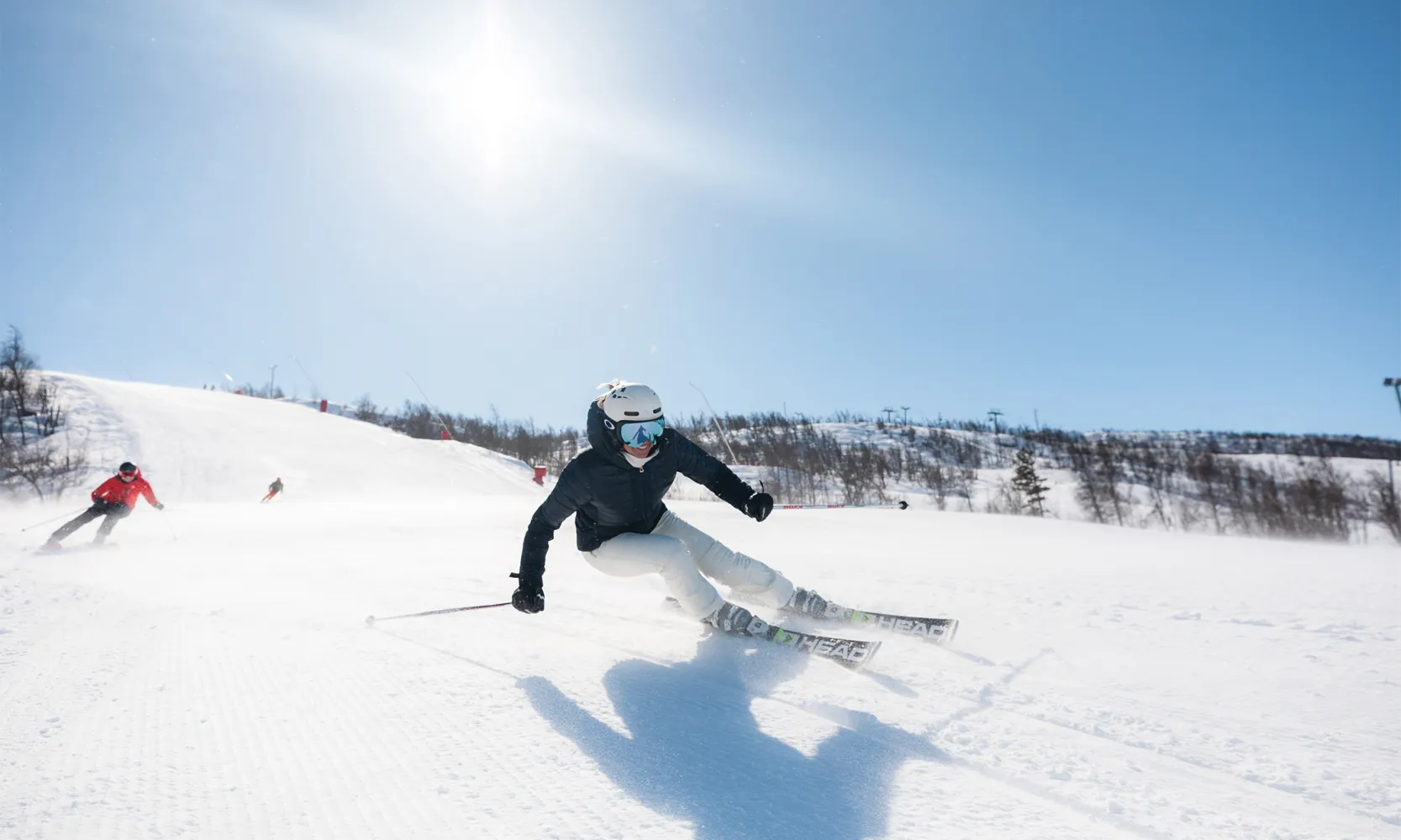 Alpine Skiing 
