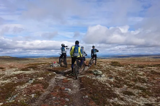 Stisykling med guide - Dagstur (6-8 timer)
