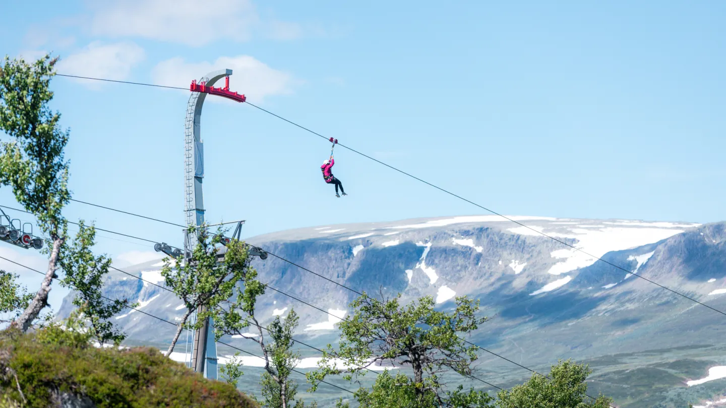 zipline