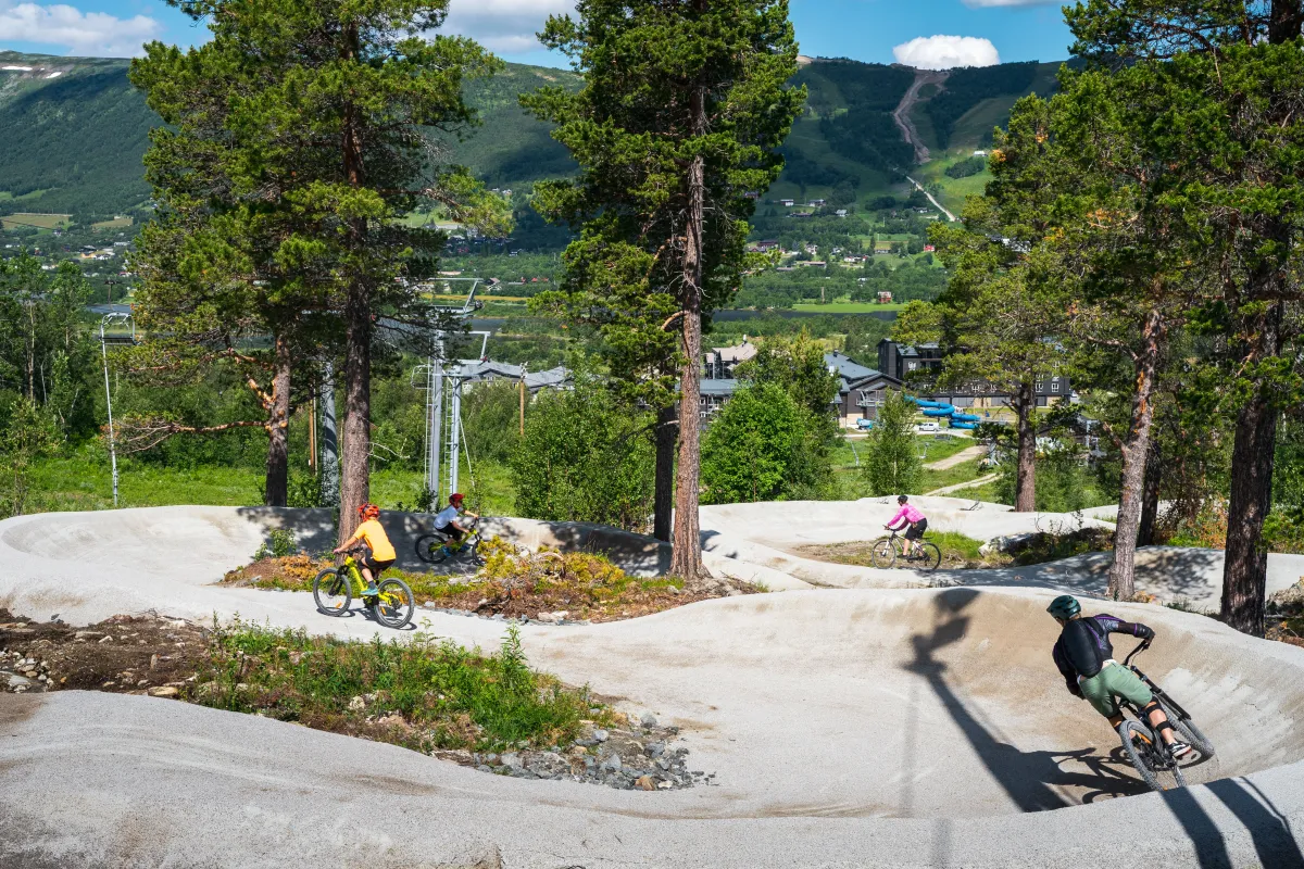 Flow-Motion-Sykkel-Geilo