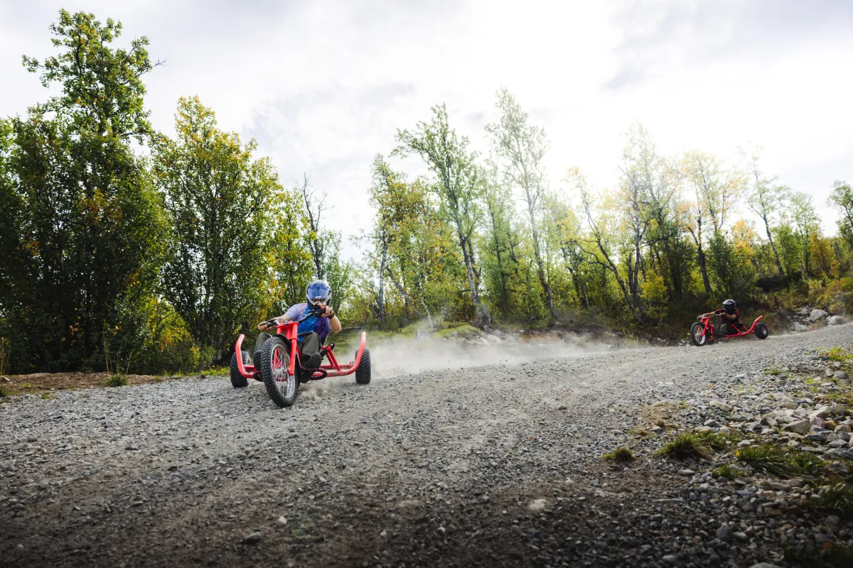 Mountain cart I dagali