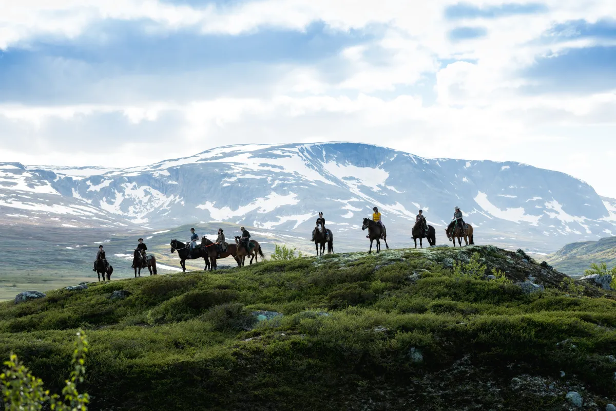 Ridning i Budalen